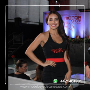 Modelos Pachuca