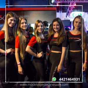 Modelos Aguascalientes